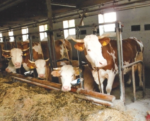 20170306_hofladen_alt_fraenkische-schweiz_007