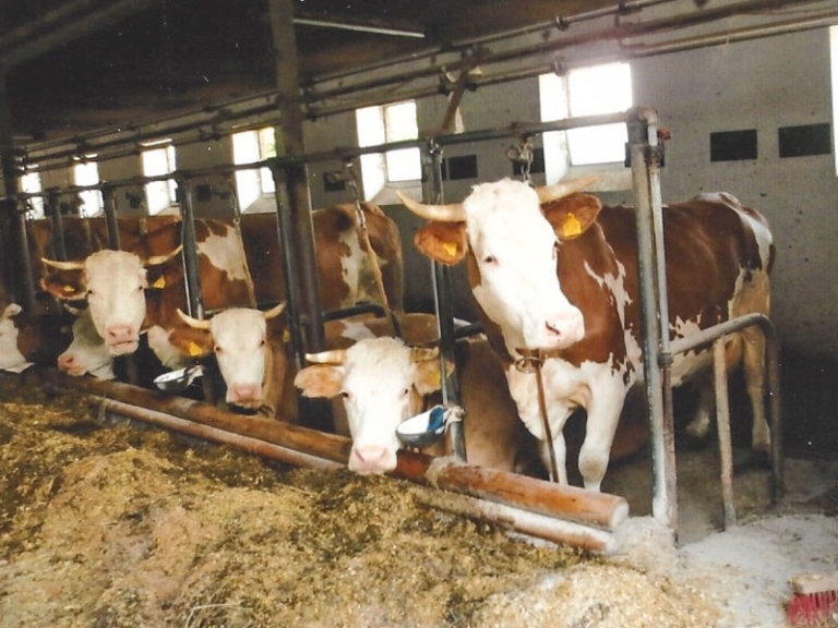 20170306_hofladen_alt_fraenkische-schweiz_007