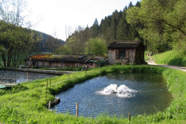 Forellenzucht_Aufsesstal_004
