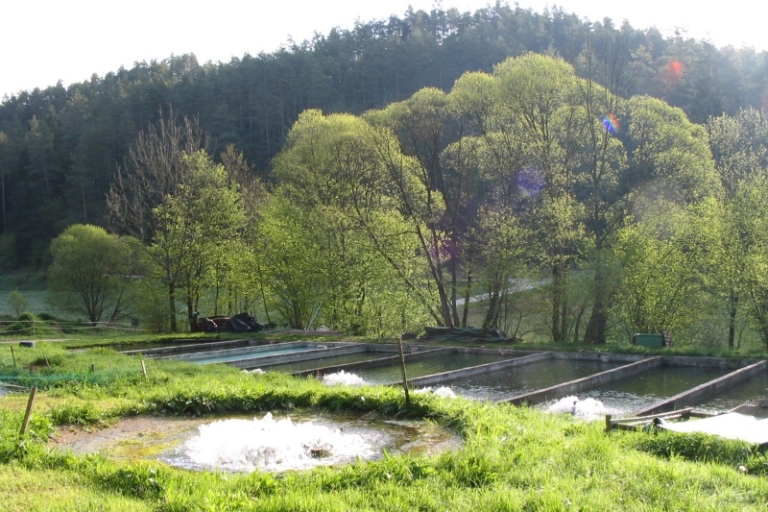 Forellenzucht_Aufsesstal_005