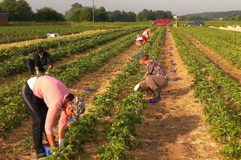 Singers_Bauernaden_Hausen_016-1