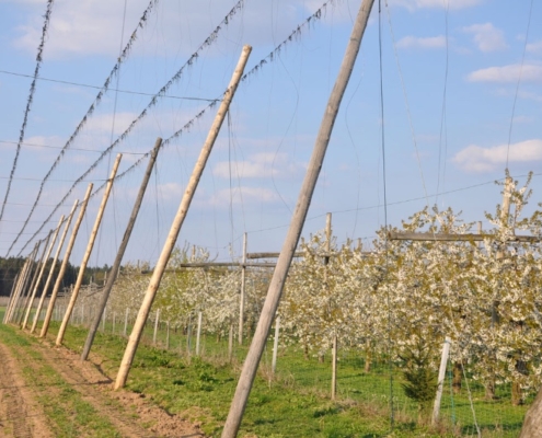 Genusshof_Pingold_Graefenberg_032