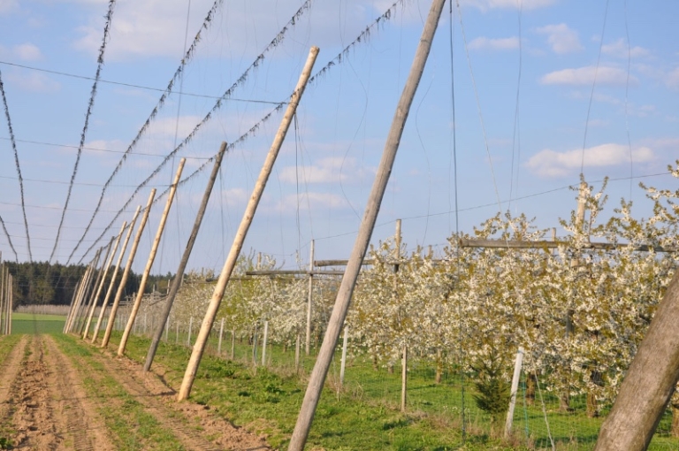 Genusshof_Pingold_Graefenberg_032