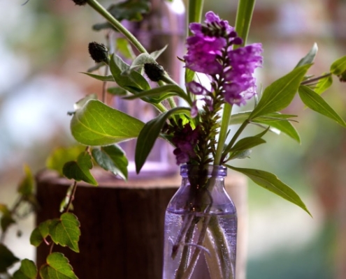 Genusshof_Pingold_Graefenberg_047