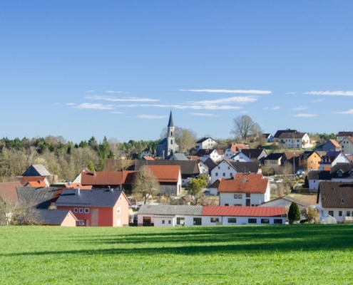 Angusrind_Rupprecht_Wuestenstein_Wiesenttal_019