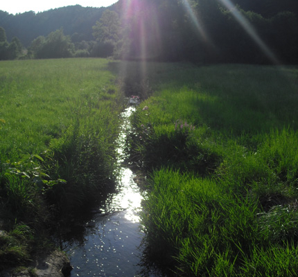 Haas_Brot_Ferienwohnung_Goessweinstein_003
