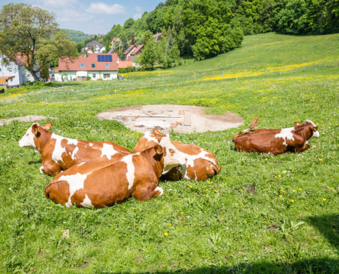 Haenfling_Bauernhof_Ferienwohnungen_Weissenohe_004