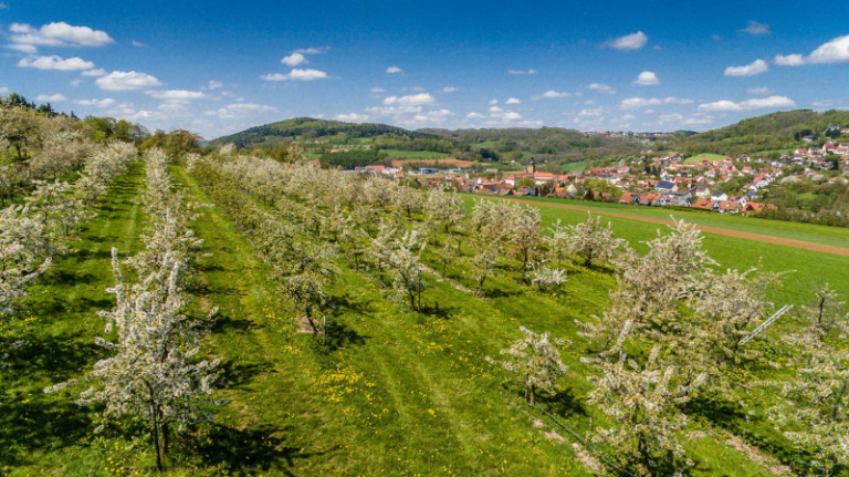 Haenfling_Bauernhof_Ferienwohnungen_Weissenohe_013