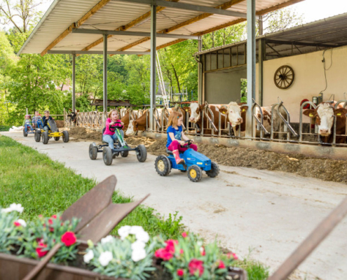 Haenfling_Bauernhof_Ferienwohnungen_Weissenohe_014