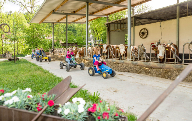 Haenfling_Bauernhof_Ferienwohnungen_Weissenohe_014