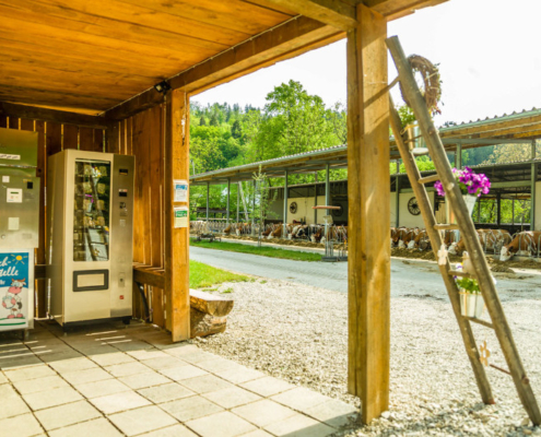 Haenfling_Bauernhof_Ferienwohnungen_Weissenohe_018